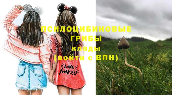 винт Балахна