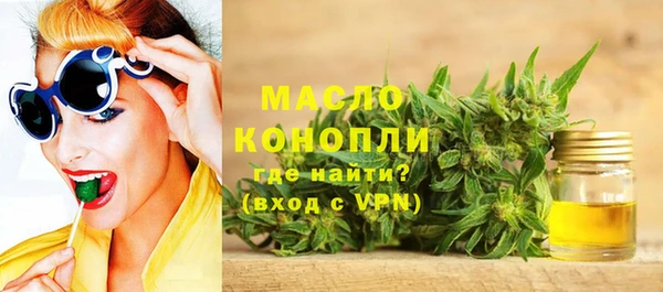 дмт Краснослободск