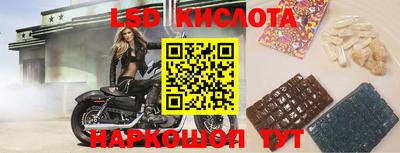 гидропоника Берёзовский