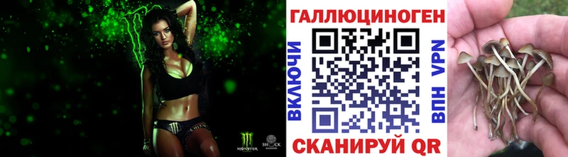 Псилоцибиновые грибы GOLDEN TEACHER  Воскресенск 