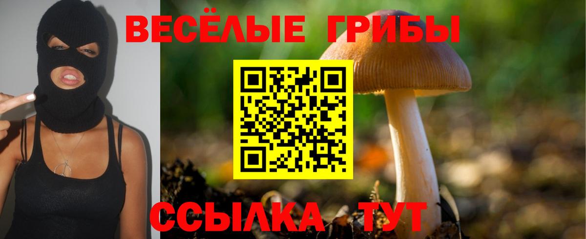 Псилоцибиновые грибы MAGIC MUSHROOMS  Вход с VPN  Воскресенск 